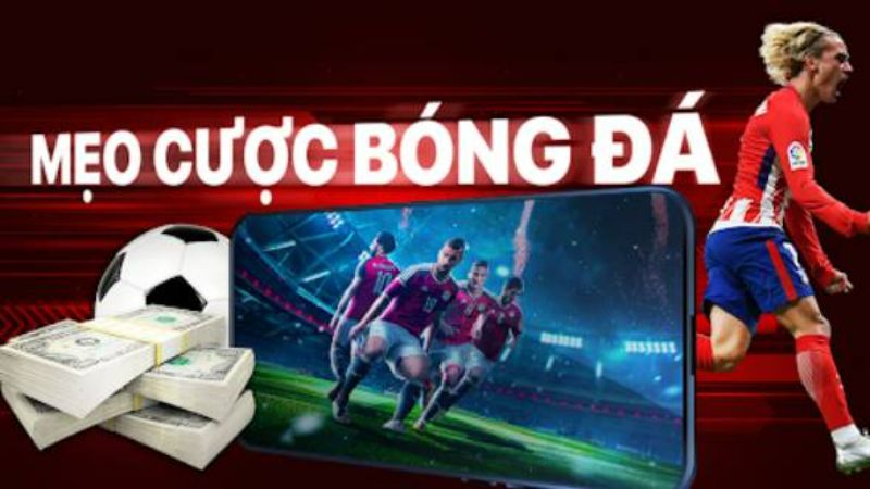 Mẹo chơi cá cược là gì